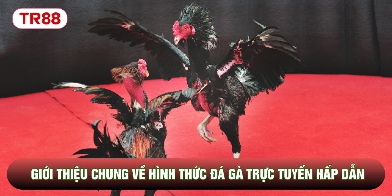 Giới thiệu chung về hình thức đá gà trực tuyến hấp dẫn