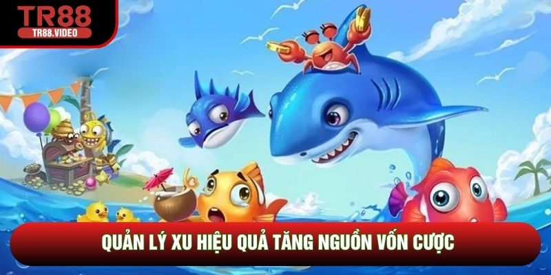 Quản lý xu hiệu quả tăng nguồn vốn cược